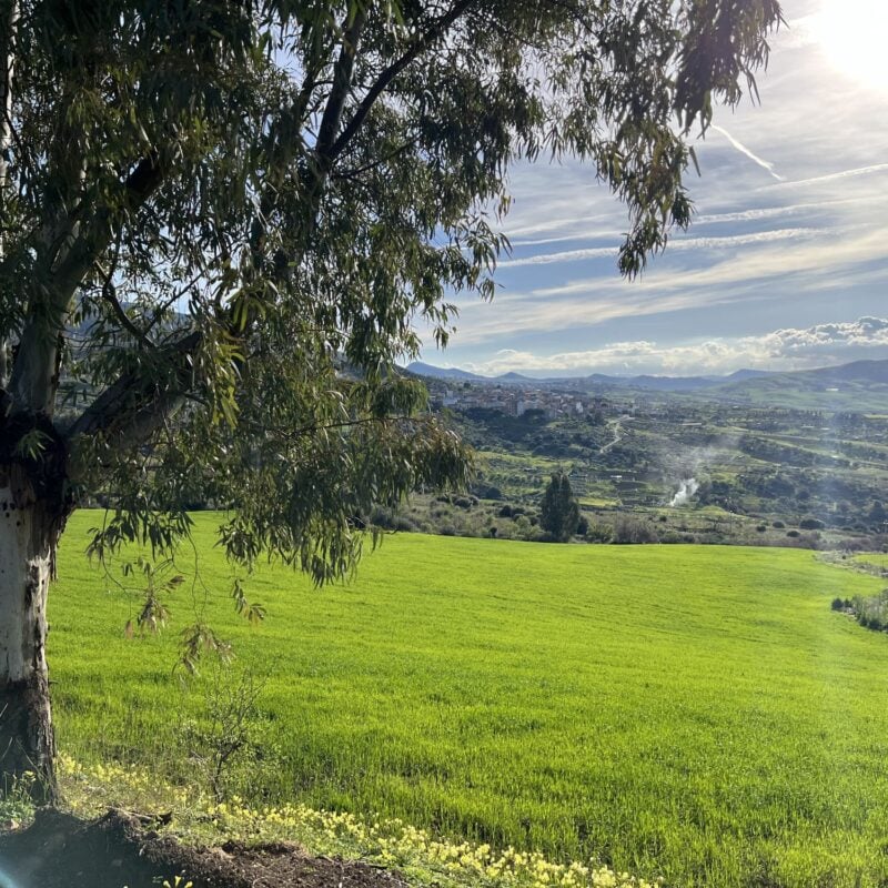 Biscottificio Scaccia | Passione e tradizione dal 1981